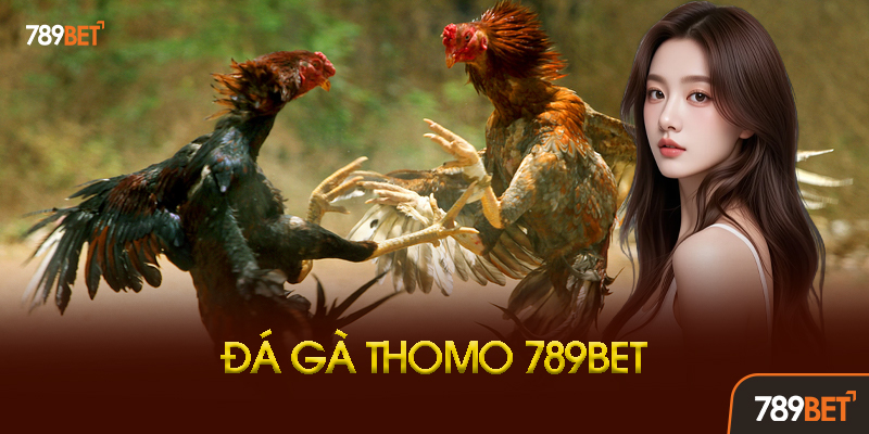 Các Loại Kèo Đá Gà Thomo Phổ Biến Tại 789BET